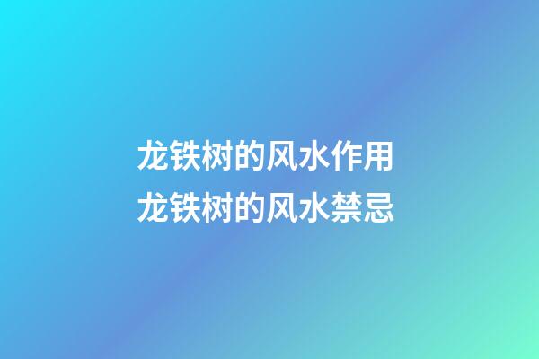 龙铁树的风水作用 龙铁树的风水禁忌
